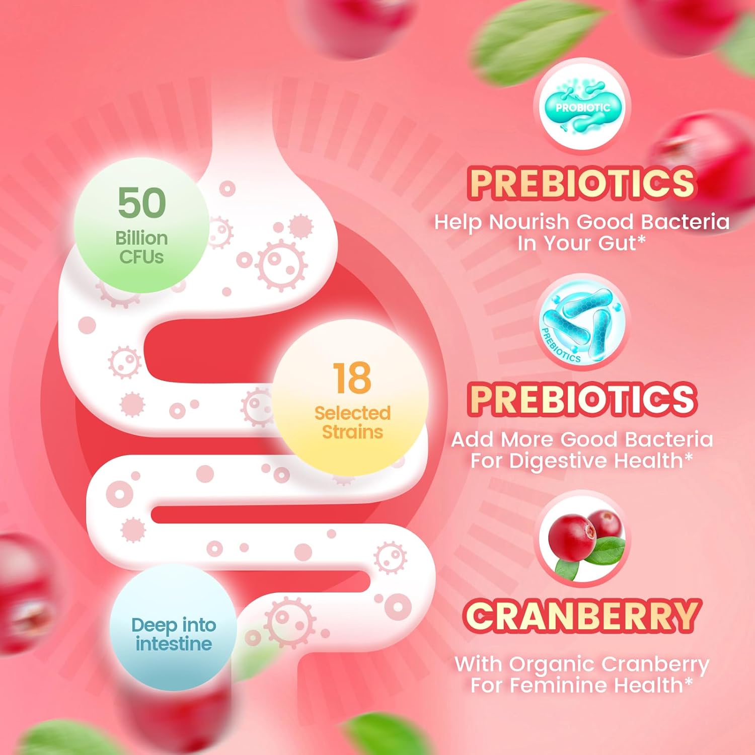 ZENOVRA® CRANBERRY PROBIOTISCHE GUMMIBÄRCHEN FÜR FRAUEN